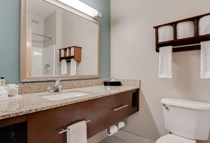 Номер Стандарт Адаптированный для Инвалидов, Holiday Inn Express And Suites St. Cloud, An Ihg