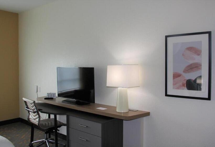 اتاق اجرایی با تخت بزرگ, Holiday Inn Southaven Central   Memphis, An Ihg