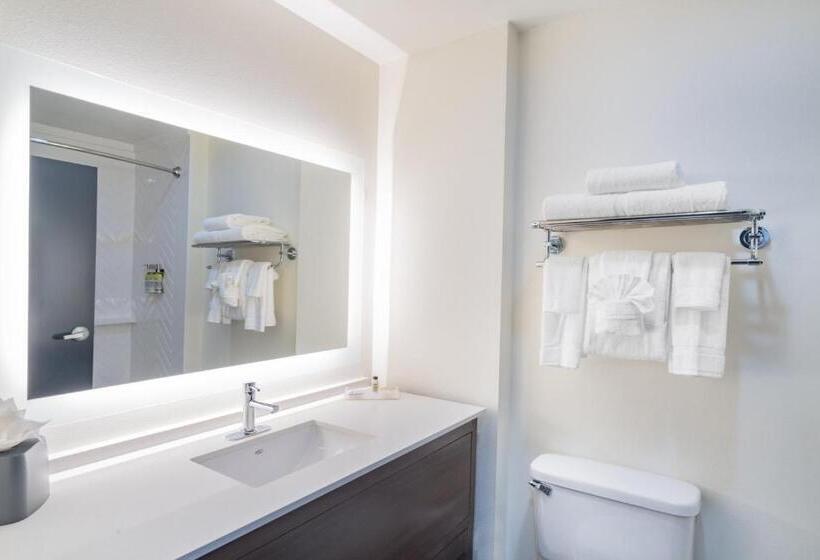 اتاق اجرایی با تخت بزرگ, Holiday Inn Southaven Central   Memphis, An Ihg