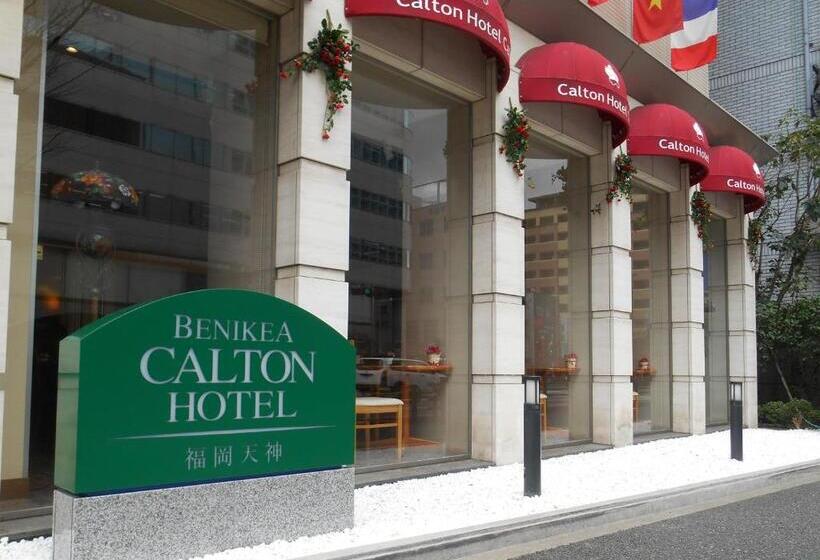 Номер Deluxe, Benikea Calton Hotel Fukuoka Tenjin