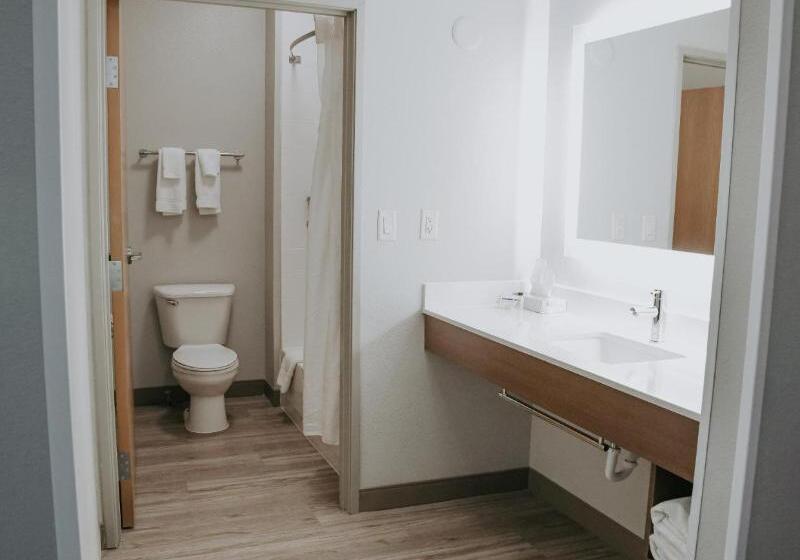 장애인을 위한 스탠다드 룸, Holiday Inn Express Hotel & Suites Lincoln South, An Ihg