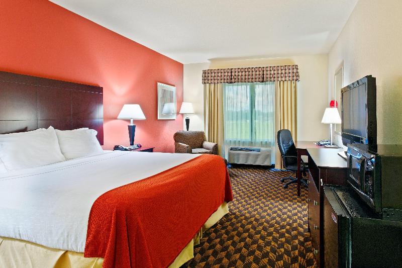스탠다드 룸 킹사이즈 침대, Holiday Inn Express & Suites Malvern, An Ihg