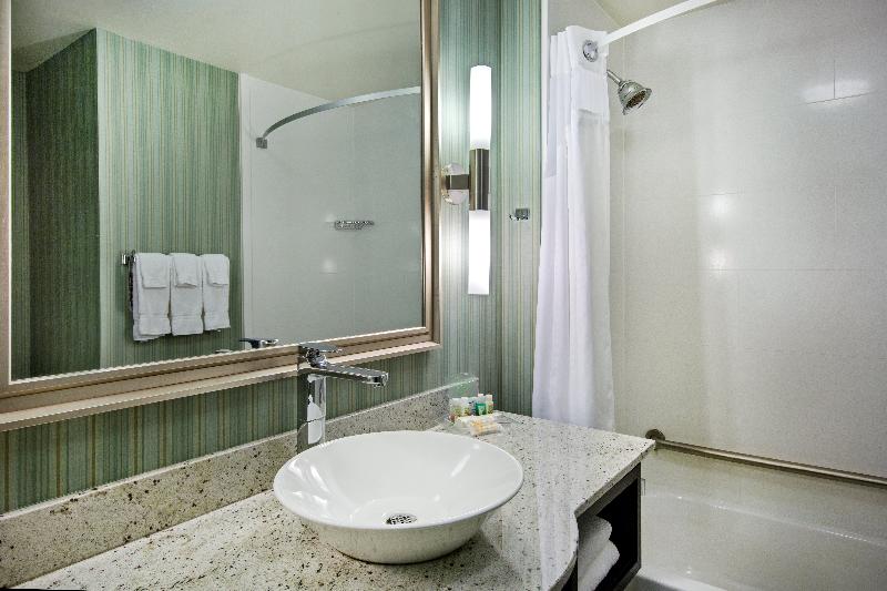豪华套房, Holiday Inn Saskatoon Downtown, An Ihg