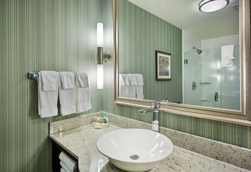 标准间, Holiday Inn Saskatoon Downtown, An Ihg
