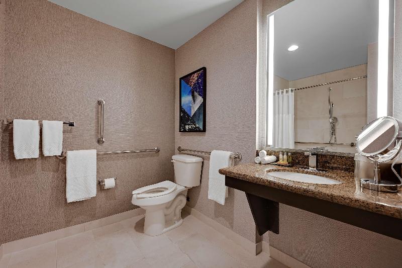 اتاق استاندارد با تخت بزرگ, Doubletree By Hilton Denver International Airport