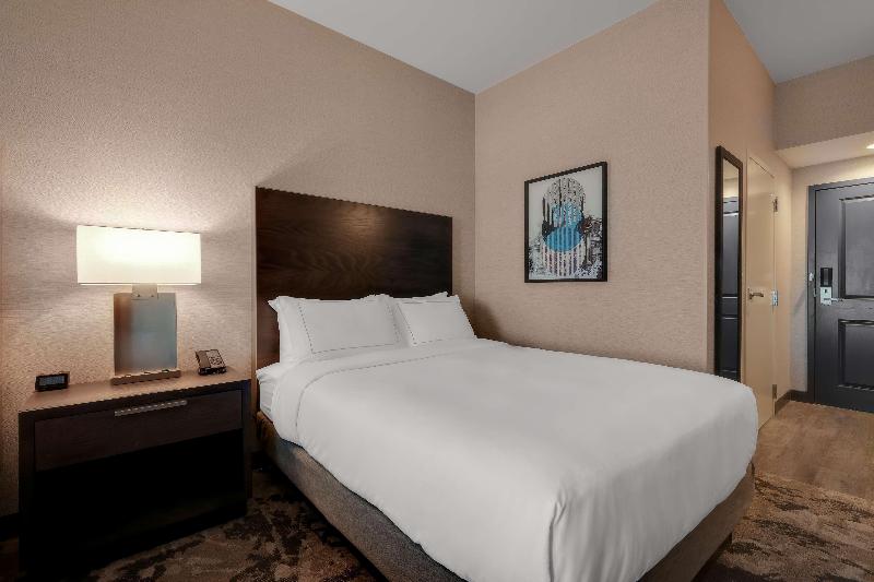 سوئیت با تخت بزرگ, Doubletree By Hilton Denver International Airport