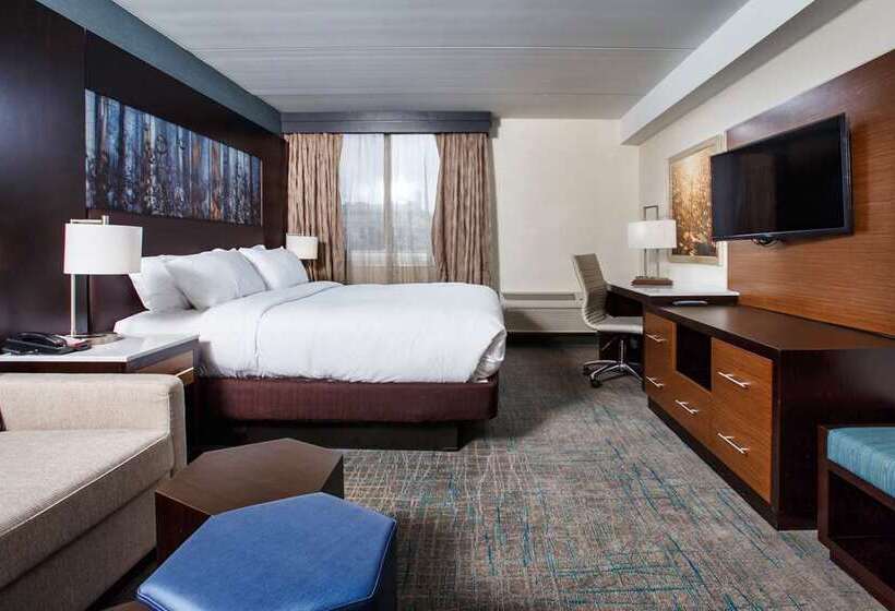 اتاق استاندارد با تخت بزرگ, Doubletree By Hilton Denver International Airport