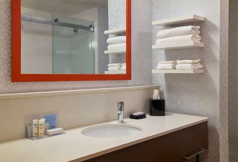اتاق استاندارد با تخت بزرگ, Doubletree By Hilton Denver International Airport