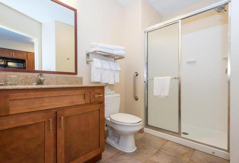 Студия Стандарт, Candlewood Suites Mobile Downtown, An Ihg