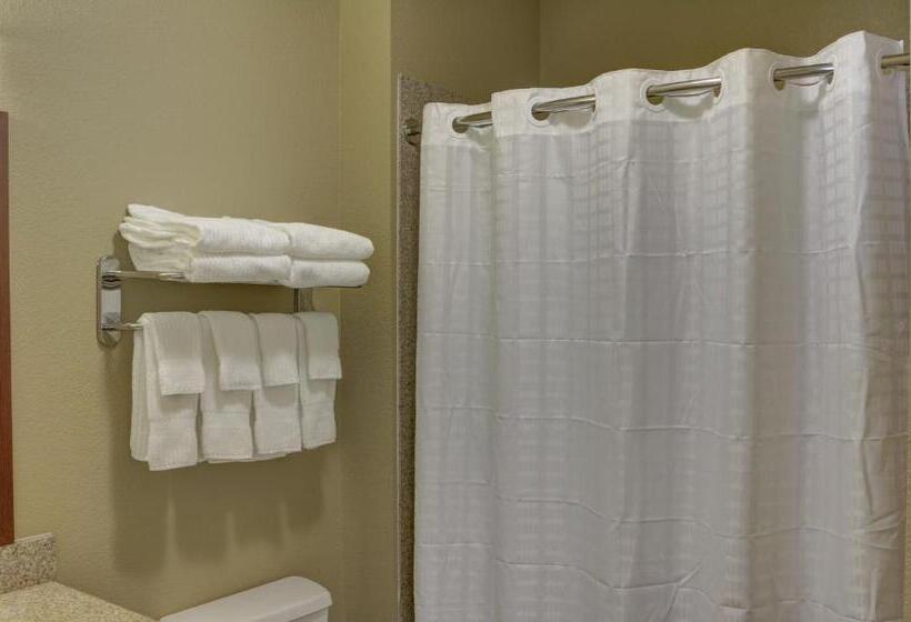 Студия Стандарт, Candlewood Suites Texarkana, An Ihg