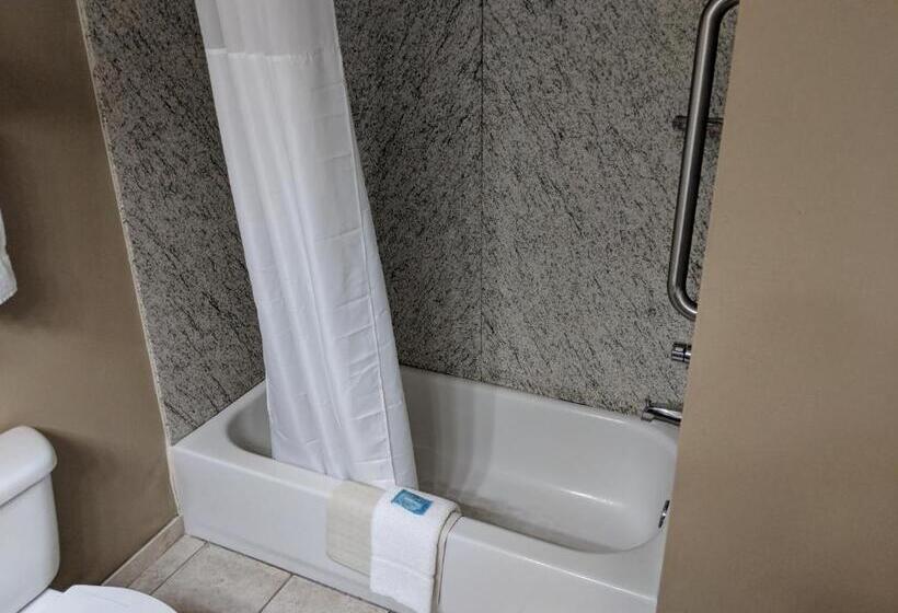 带大床的套房, Clarion Pointe Medford