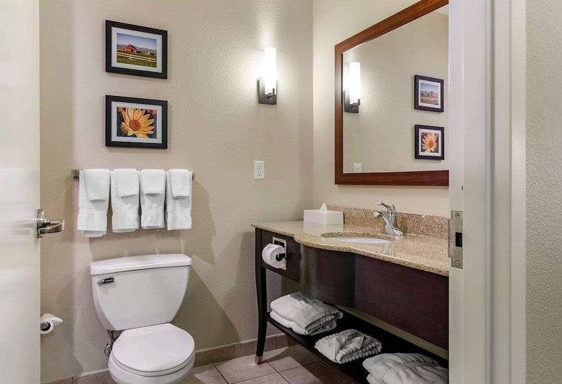 자쿠지 스위트, Comfort Suites Helena Airport