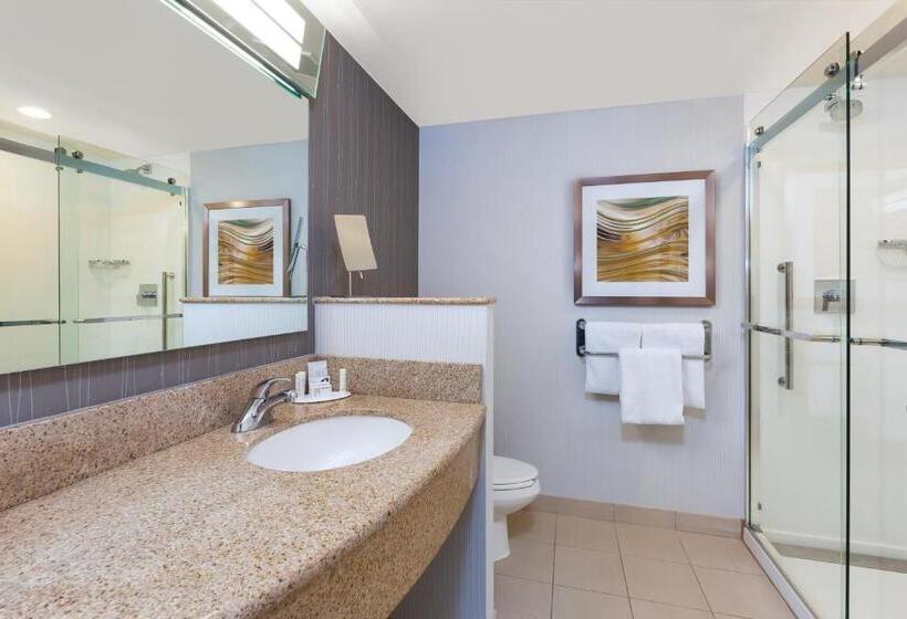 Стандартный Номер Кровать Кинг, Courtyard By Marriott Oklahoma City Downtown