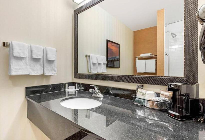 Pokój Standard Łóżko King Size, Fairfield Inn & Suites By Marriott Rockford