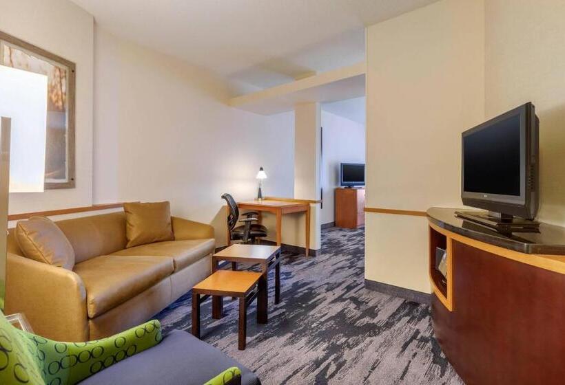 Junior Suite, Fairfield Inn & Suites By Marriott Rockford