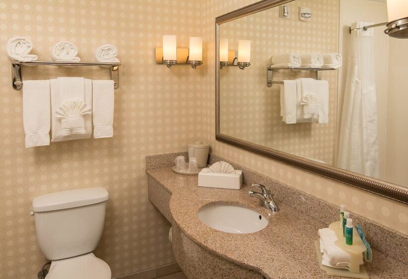 Номер Стандарт, Holiday Inn Express Hotel & Suites Greensboro   Airport Area, An Ihg