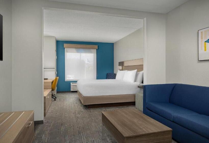 Люкс Кровать Кинг, Holiday Inn Express Hotel & Suites Greensboro   Airport Area, An Ihg