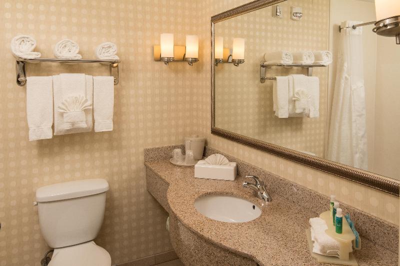 Люкс Кровать Кинг, Holiday Inn Express Hotel & Suites Greensboro   Airport Area, An Ihg