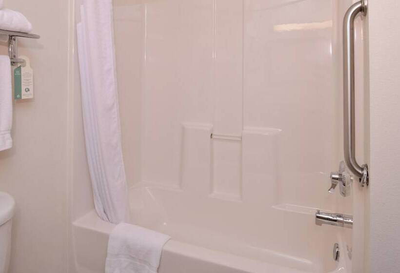 套房, Holiday Inn Express Hotel & Suites Lancaster Lititz, An Ihg