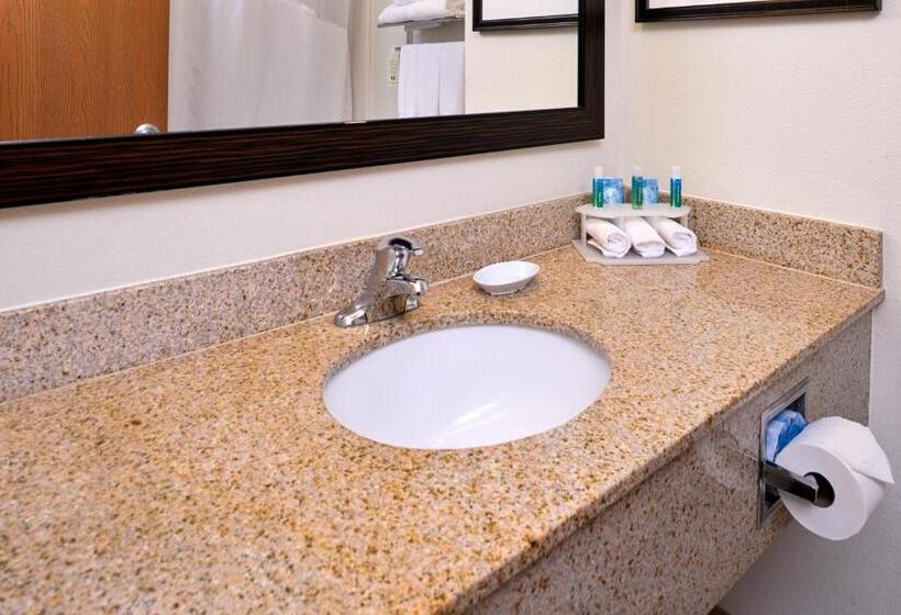 带大床的标准间, Holiday Inn Express Hotel & Suites Lancaster Lititz, An Ihg