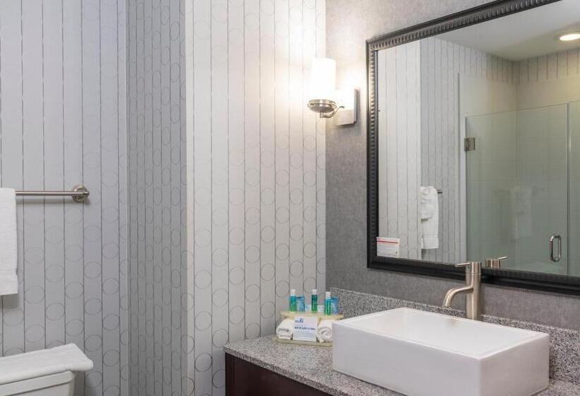Стандартный Номер Кровать Кинг, Holiday Inn Express & Suites Columbus   Polaris Parkway / Columbus, An Ihg