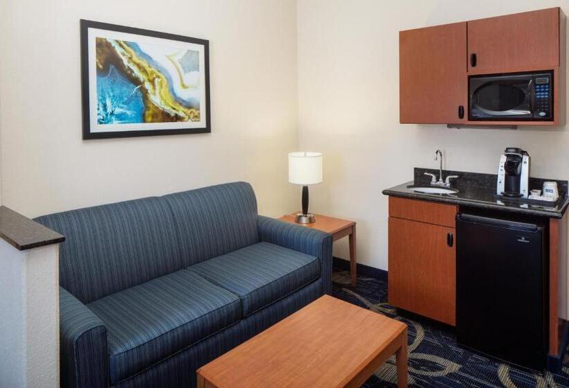 סוויטה מותאמת לאדם עם מוגבלויות, Holiday Inn Express & Suites Midland Loop 250, An Ihg