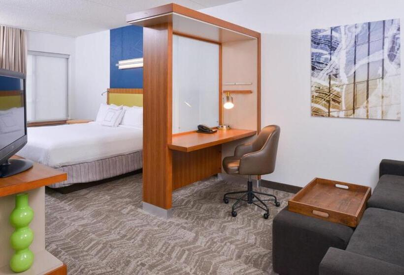 Студио Стандарт Кровать Кинг, Springhill Suites Durham Chapel Hill