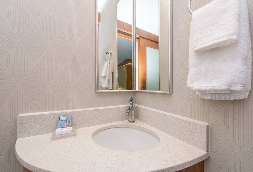 스위트, Springhill Suites By Marriott Huntsville Downtown
