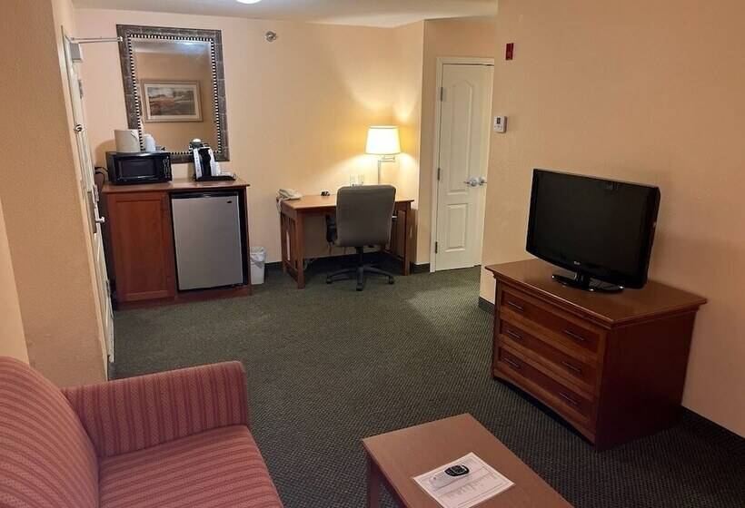 Люкс, Wyndham Garden Otsegominneapolis