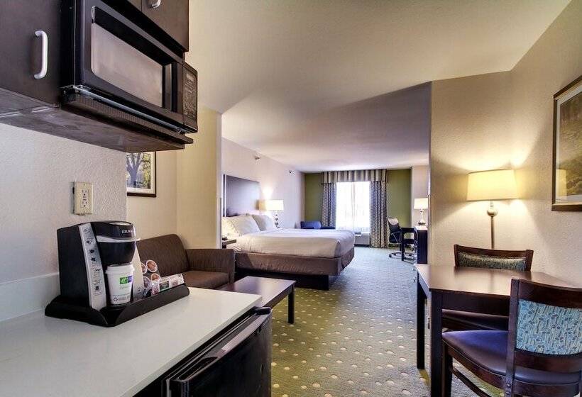 Люкс, Holiday Inn Express Hotel & Suites Live Oak, An Ihg