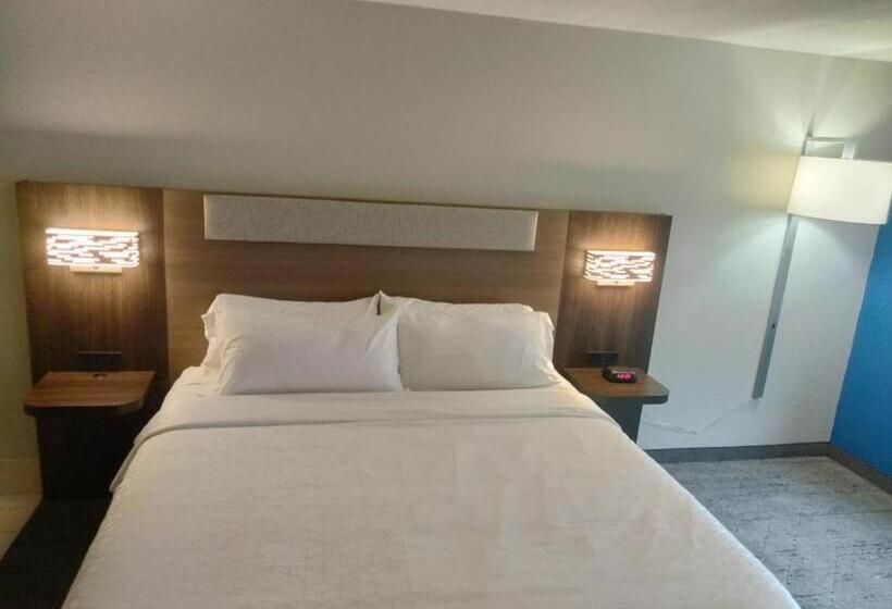 장애인을 위한 킹사이즈 침대 스탠다드 룸, Holiday Inn Express Lapeer, An Ihg