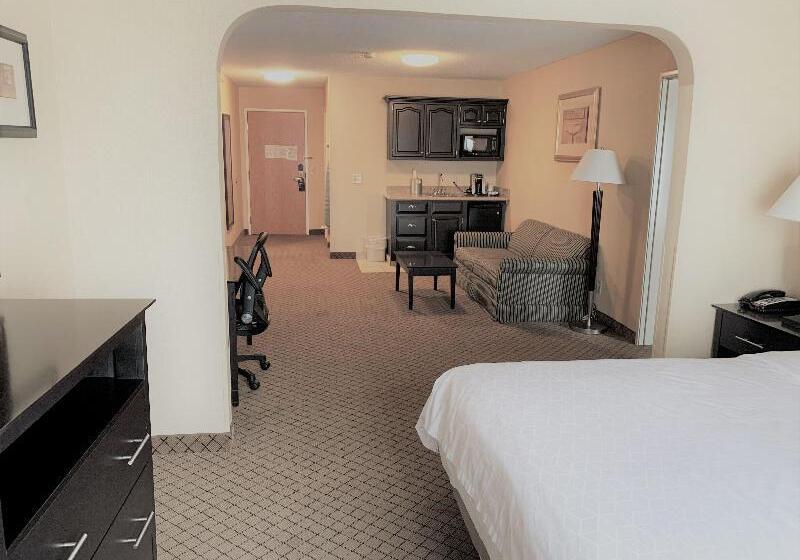 套房, Holiday Inn Express Plymouth, An Ihg