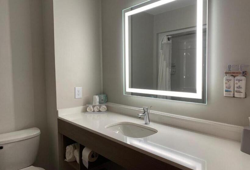 带大床的标准间, Holiday Inn Express Plymouth, An Ihg