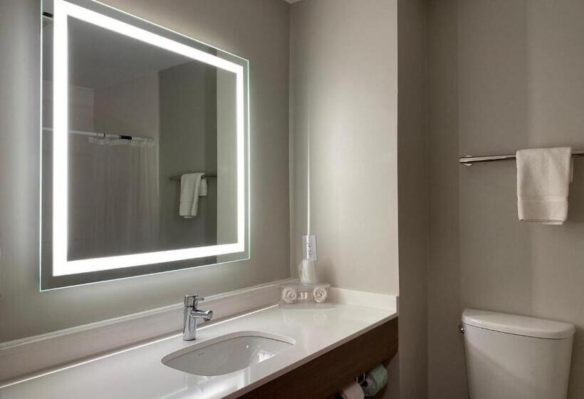 带大床的套房, Holiday Inn Express Plymouth, An Ihg