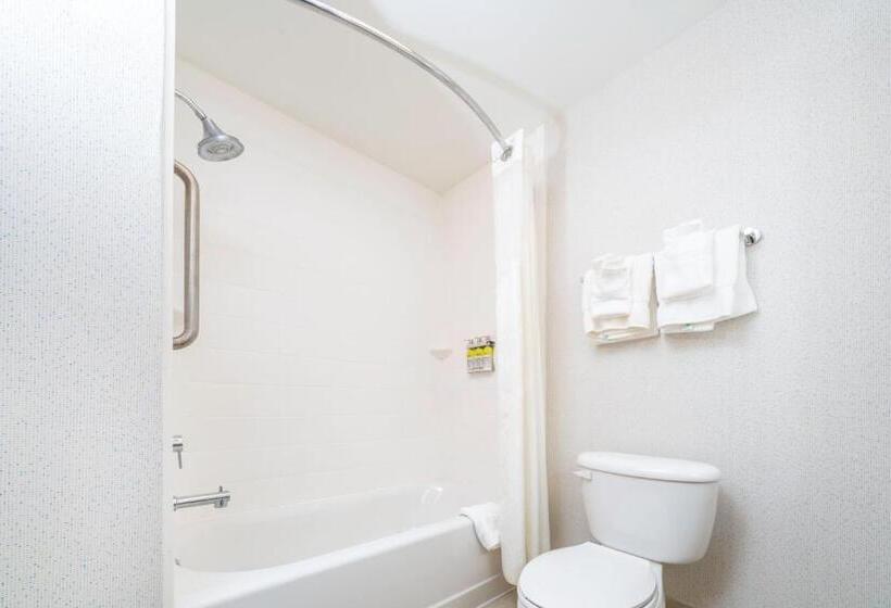 장애인을 위한 킹사이즈 침대 스탠다드 룸, Holiday Inn Express Rochelle, An Ihg
