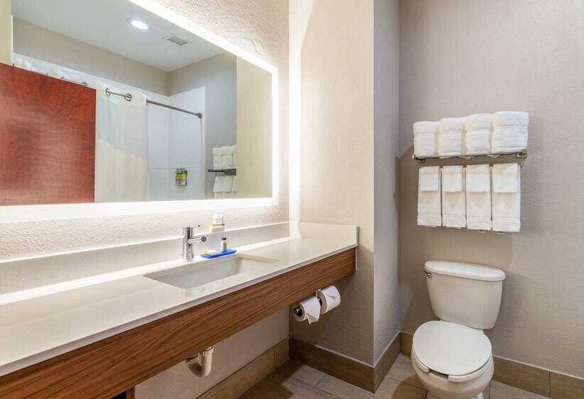 Люкс, Holiday Inn Express Hotel And Suites Statesville By Ihg