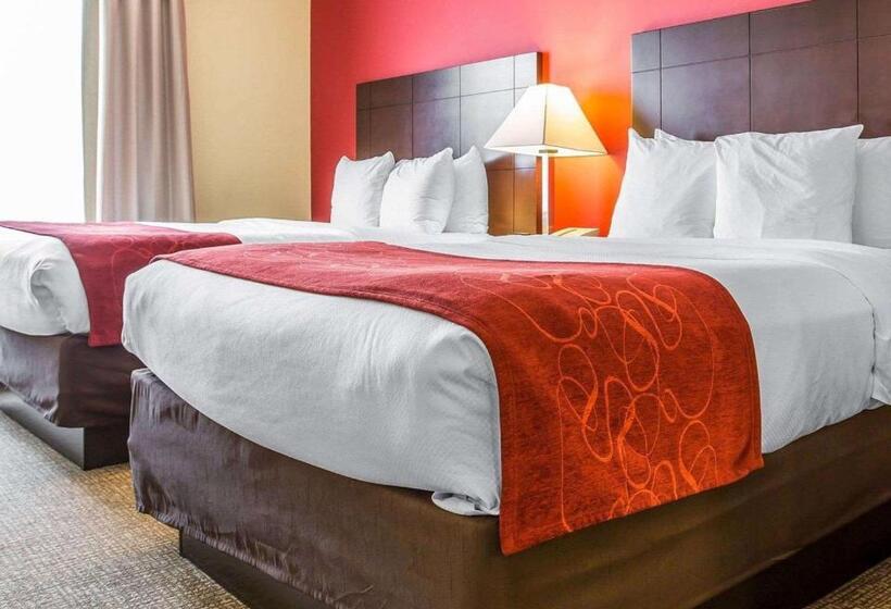 スイート, Comfort Suites Rock Hill Manchester Meadows Area
