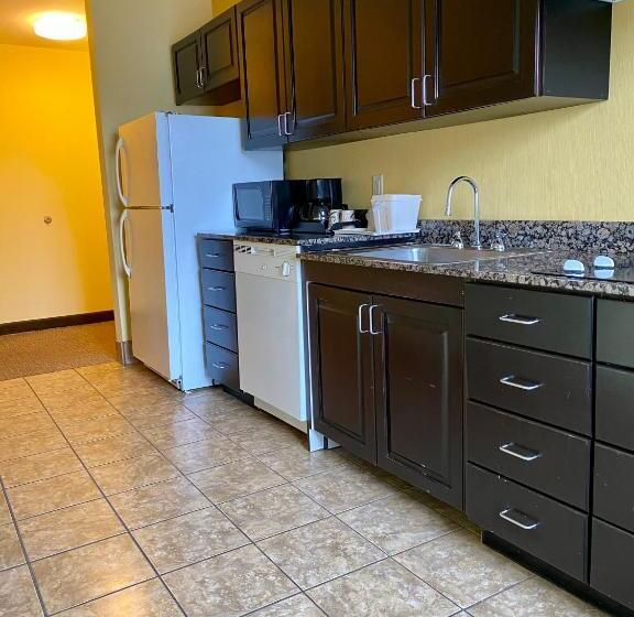 身障者適用スイートルーム, Comfort Suites Rock Hill Manchester Meadows Area