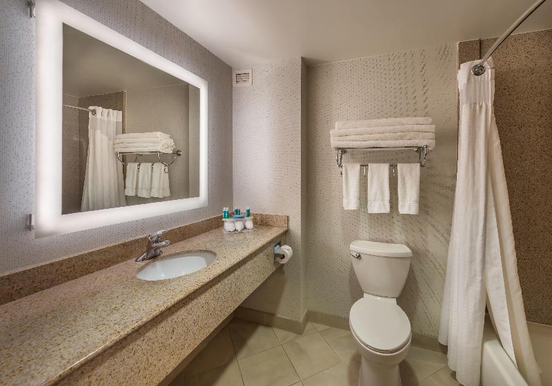 带大床的套房, Holiday Inn Express Hotel & Suites Carson City, An Ihg