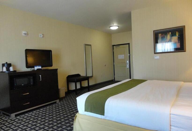 Номер Стандарт Кровать Кинг Адаптированный для Инвалидов, Holiday Inn Express And Suites Limerick Pottstown, An Ihg