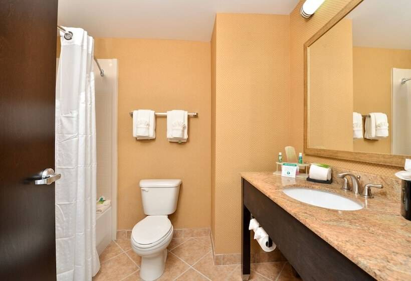 장애인을 위한 스위트, Holiday Inn Express Columbia, An Ihg