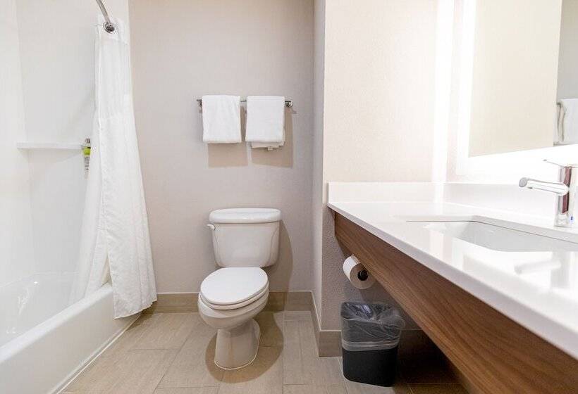 スイート, Holiday Inn Express Johnson City, An Ihg