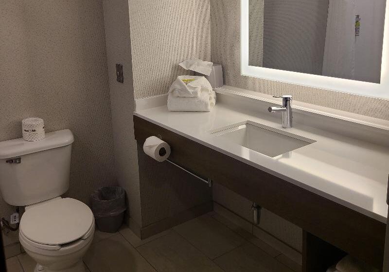 Стандартный Номер Кровать Кинг, Holiday Inn Express Lordstown Newton Falls/warren, An Ihg