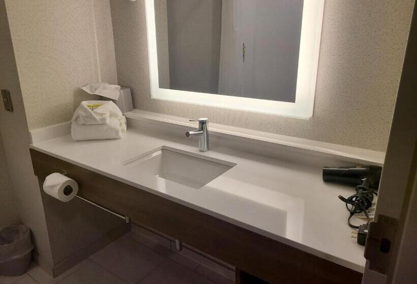 Номер Стандарт, Holiday Inn Express Lordstown Newton Falls/warren, An Ihg