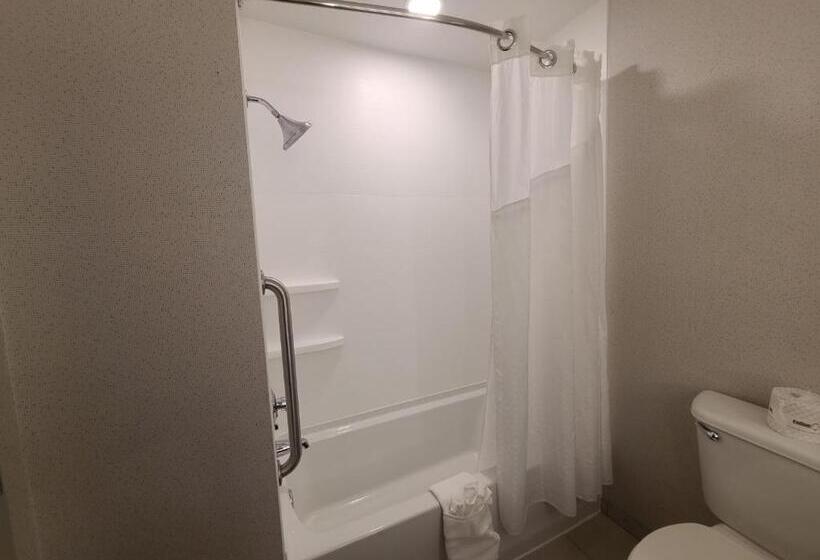 Студия Стандарт, Holiday Inn Express Lordstown Newton Falls/warren, An Ihg