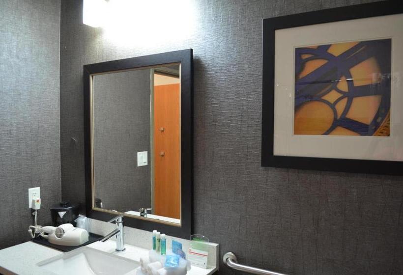 Номер Стандарт Кровать Кинг Адаптированный для Инвалидов, Holiday Inn Longview   North, An Ihg