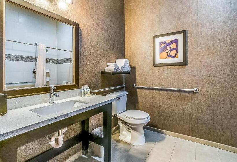Люкс Адаптированный для Инвалидов, Holiday Inn Longview   North, An Ihg