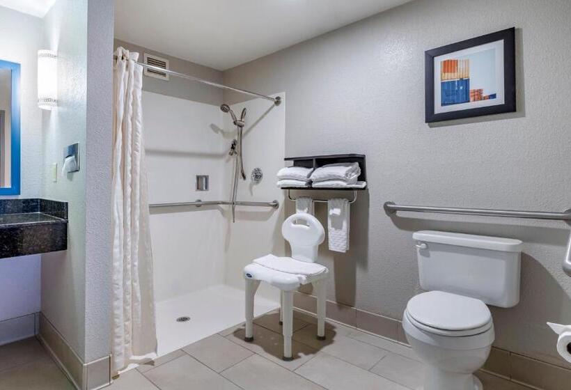 Номер Стандарт Кровать Кинг Адаптированный для Инвалидов, Best Western Plus Castlerock Inn & Suites