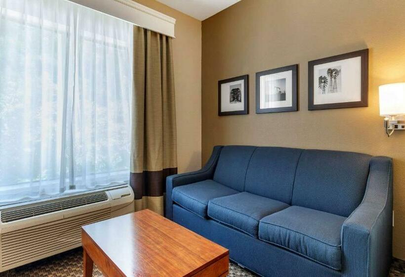 Люкс Адаптированный для Инвалидов, Comfort Suites