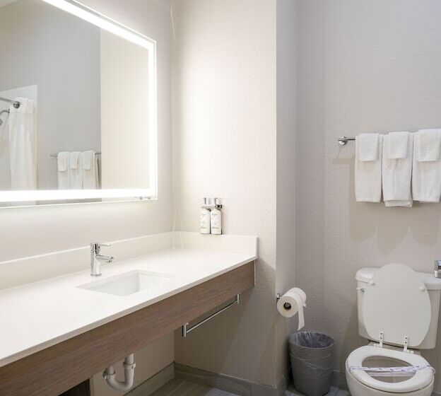 Номер Стандарт, Holiday Inn Express Hotel & Suites Cedar Hill, An Ihg